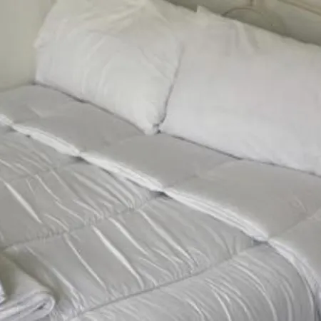 Surf #### بيت ضيافة كينسالي